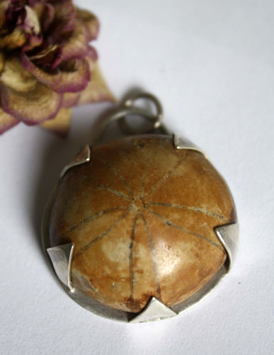 Echinoidea, sterling silver sand dollar pendant