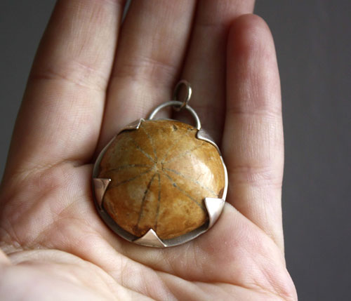 Echinoidea, earth’s history pendant in silver and fossilized sea urchin